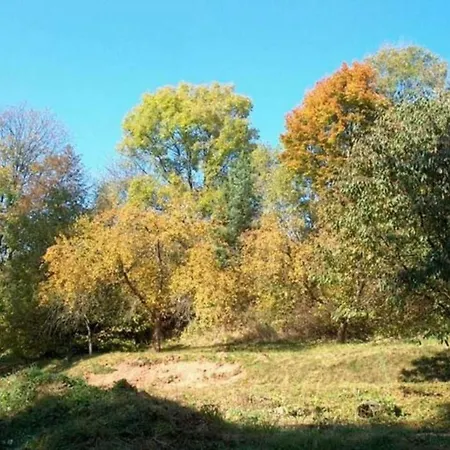 An Eight Person Holiday Home On A 1600 Hectare * Tachov (Plzen)