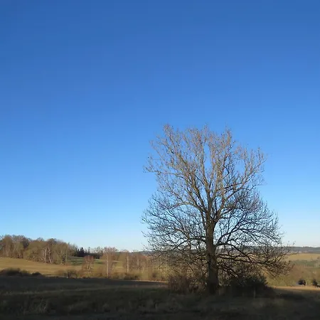 An Eight Person Holiday Home On A 1600 Hectare Tachov (Plzen)