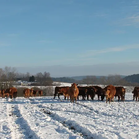 An Eight Person Holiday Home On A 1600 Hectare Holiday home Tachov (Plzen)