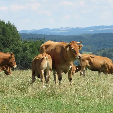 An Eight Person On A 1600 Hectare Prázdninový dům